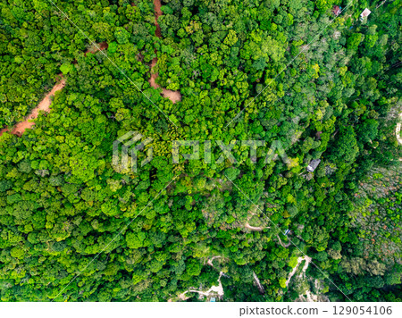High angle view mountains rainforest green background High angle view mountains rainforest green background 129054106