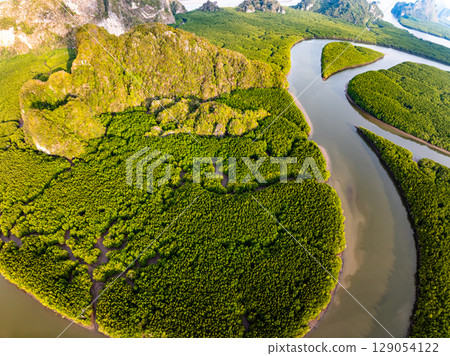 Drone view Mangrove forest trees in Thailand 129054122