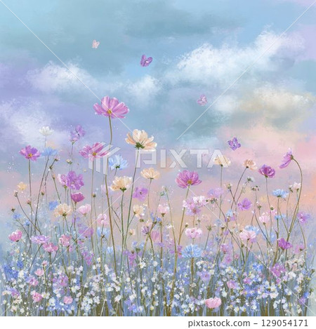 Cosmos blooming toward the sky 129054171