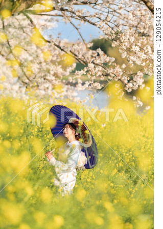 黃昏時分，一位中年婦人撐著日本傘走在盛開的櫻花下 129054215