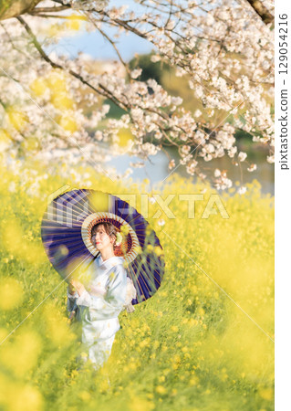 黃昏時分,一位中年婦人撐著日本傘走在盛開的櫻花下 黃昏時分,一位中年婦人撐著日本傘走在盛開的櫻花下 129054216