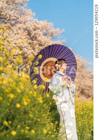 黃昏時分，一位中年婦人撐著日本傘走在盛開的櫻花下 129054219