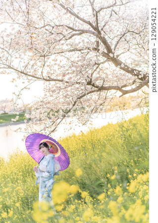 黃昏時分，一位中年婦人撐著日本傘走在盛開的櫻花下 129054221
