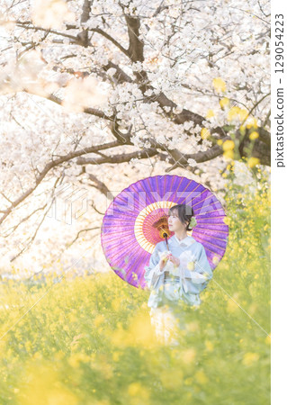 黃昏時分,一位中年婦人撐著日本傘走在盛開的櫻花下 黃昏時分,一位中年婦人撐著日本傘走在盛開的櫻花下 129054223