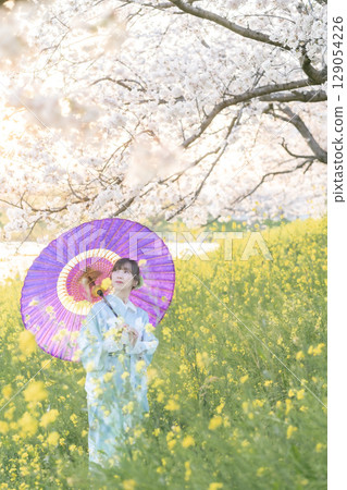 黃昏時分，一位中年婦人撐著日本傘走在盛開的櫻花下 129054226