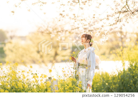 A middle-aged woman walking under cherry blossoms in full bloom with a Japanese umbrella at dusk A middle-aged woman walking under cherry blossoms in full bloom with a Japanese umbrella at dusk 129054256