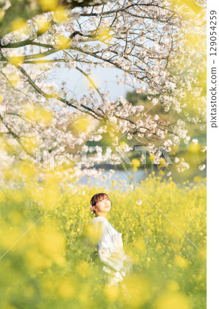 黃昏時分,一位中年婦人撐著日本傘走在盛開的櫻花下 黃昏時分,一位中年婦人撐著日本傘走在盛開的櫻花下 129054259