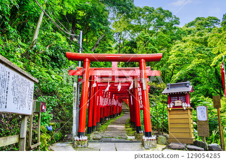 鎌倉市佐助稻荷神社明鳥居,與源賴朝有關的能量點 鎌倉市佐助稻荷神社明鳥居,與源賴朝有關的能量點 129054285