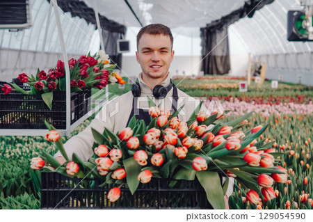 Young male florist in greenhouse holding large bouquet of tulips, surrounded by colorful flowers, showcasing the beauty of floral arrangements and the art of flower cultivation in a lively environment 129054590