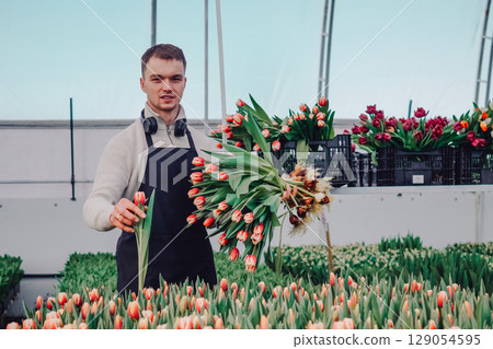 Young male florist in greenhouse holding bouquet of tulips, surrounded by vibrant flower beds, showcasing the beauty of floral arrangements and the art of flower cultivation in a bright environment 129054595