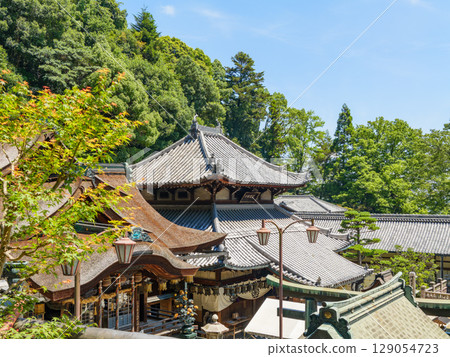 [Nara Prefecture] Hozan-ji Temple, Ikoma City (photographed on July 29, 2025) 129054723