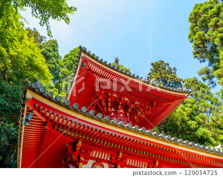 [Nara Prefecture] Hozan-ji Temple, Ikoma City (photographed on July 29, 2025) 129054725