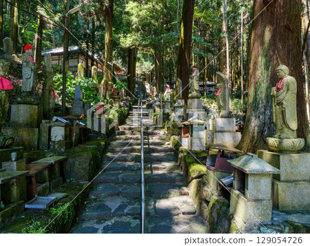 [Nara Prefecture] Hozan-ji Temple, Ikoma City (photographed on July 29, 2025) 129054726
