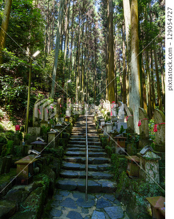[Nara Prefecture] Hozan-ji Temple, Ikoma City (photographed on July 29, 2025) 129054727