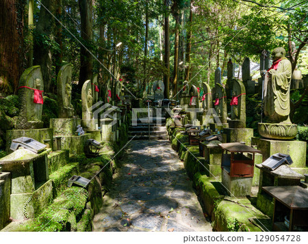 【奈良縣】生駒市寶山寺（2025年7月29日拍攝） 129054728
