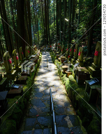 [Nara Prefecture] Hozan-ji Temple, Ikoma City (photographed on July 29, 2025) 129054730