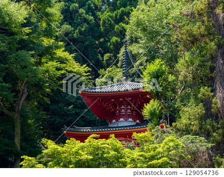 [Nara Prefecture] Hozan-ji Temple, Ikoma City (photographed on July 29, 2025) 129054736