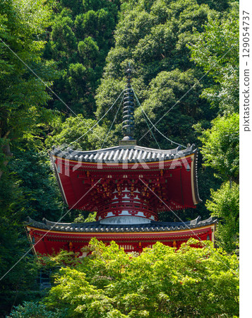 [Nara Prefecture] Hozan-ji Temple, Ikoma City (photographed on July 29, 2025) 129054737