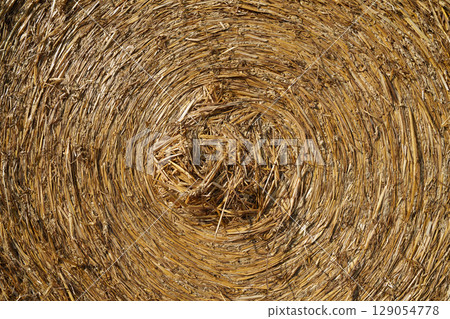 Straw after wheat harvest close-up. Straw after wheat harvest close-up. 129054778