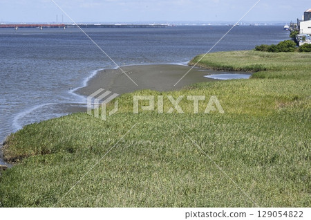 Tama River estuary tidal flats Tama River estuary tidal flats 129054822