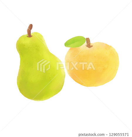 Watercolor illustration of European and Japanese pears Watercolor illustration of European and Japanese pears 129055571