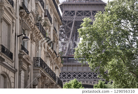 Details of The Majestic Eiffel Tower view between with typical parisian buildings and Green trees in the foreground from on Rue de l universite street view in Paris. 129056310