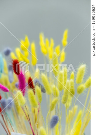 colorful display dried flowers in various hues fills space with vibrant texture and charm. closeup. 129056624