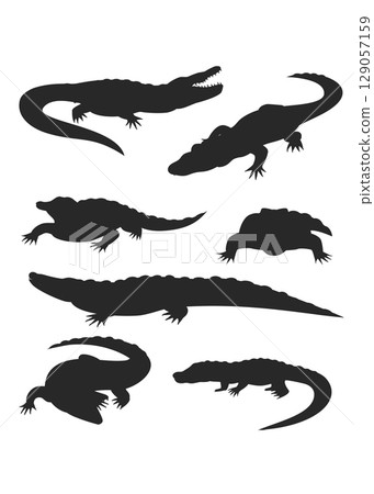 Crocodile and alligator silhouette set stock illustration 129057159