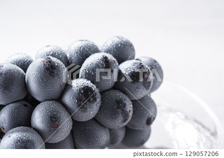 Seedless Pione 129057206