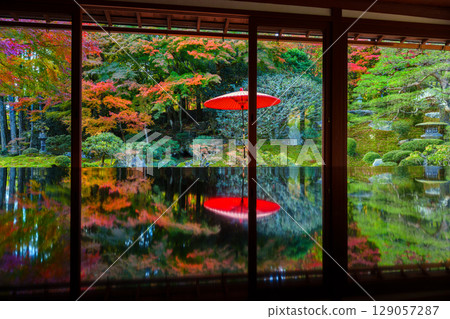 Vermilion umbrellas and autumn leaves reflected at the Kyu-Chikurin-in Temple Vermilion umbrellas and autumn leaves reflected at the Kyu-Chikurin-in Temple 129057287