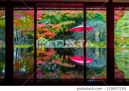 朱紅色的傘和秋葉映照在舊竹林院 129057289