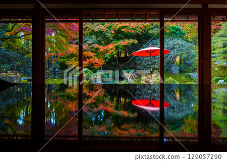 朱紅色的傘和秋葉映照在舊竹林院 129057290