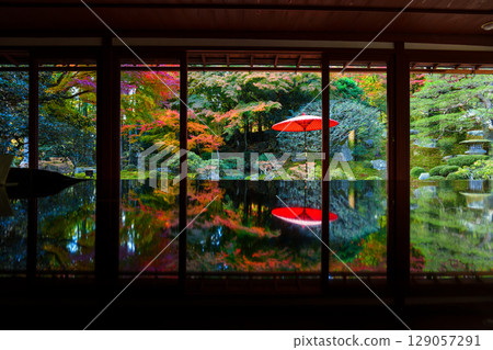 Vermilion umbrellas and autumn leaves reflected at the Kyu-Chikurin-in Temple 129057291