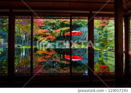 Vermilion umbrellas and autumn leaves reflected at the Kyu-Chikurin-in Temple 129057293