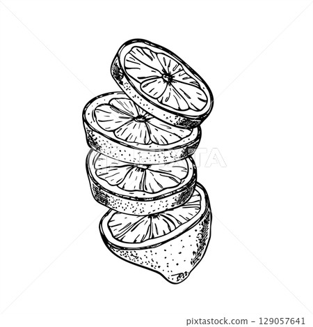 Cros section lemon half and round slice vector isolated illustration painted by black inks. Monochrome citrus composition for cold summer drink, bar menus, fresh drink packaging, summer design. Cros section lemon half and round slice vector isolated illustration painted by black inks. Monochrome citrus composition for cold summer drink, bar menus, fresh drink packaging, summer design. 129057641