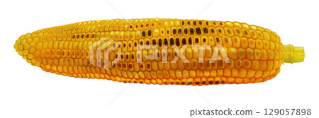 grilled corn illustration 129057898