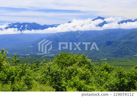 富士見高原度假村蘇藏之森盛開 富士見高原度假村蘇藏之森盛開 129059112