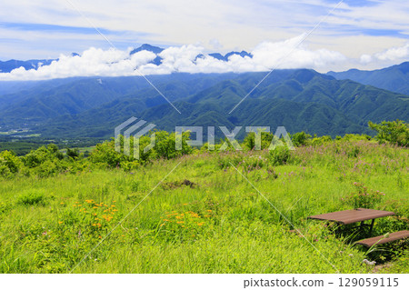 Fujimi Kogen Resort Sozo-no-Mori in full bloom 129059115