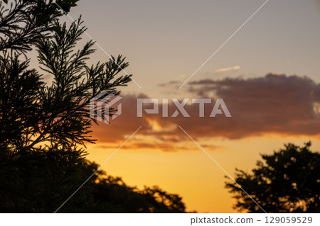 Stain in sunset Stain in sunset 129059529