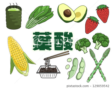 葉酸圖像插圖（無背景）（日文） 129059542