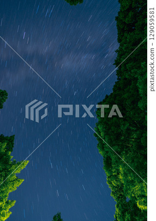 從樹林裡看到的星空 從樹林裡看到的星空 129059581