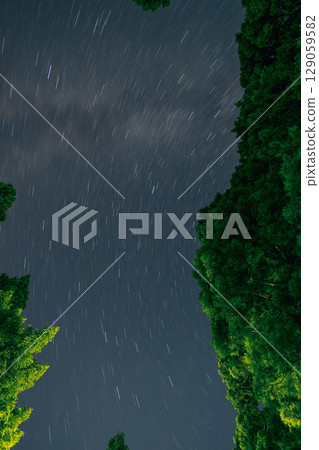 從樹林裡看到的星空 129059582