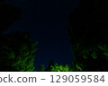 Starry sky seen from the woods 129059584