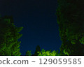 Starry sky seen from the woods 129059585