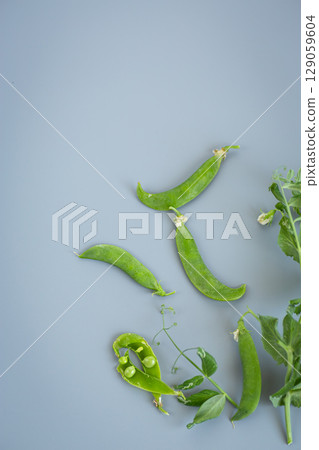 Vegetables in minimalist style on gray background Vegetables in minimalist style on gray background 129059604