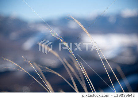 長野縣布蘭奇高山滑雪場的景色 129059648