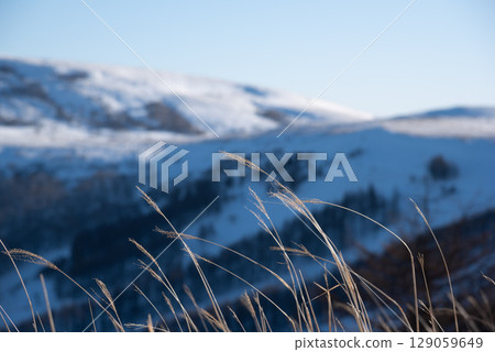 View from Blanche Takayama Ski Resort, Nagano Prefecture 129059649