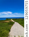 Road to the sea 129059755