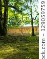 Landscape with moss 129059759