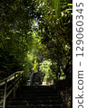 神秘的森林樓梯 129060345